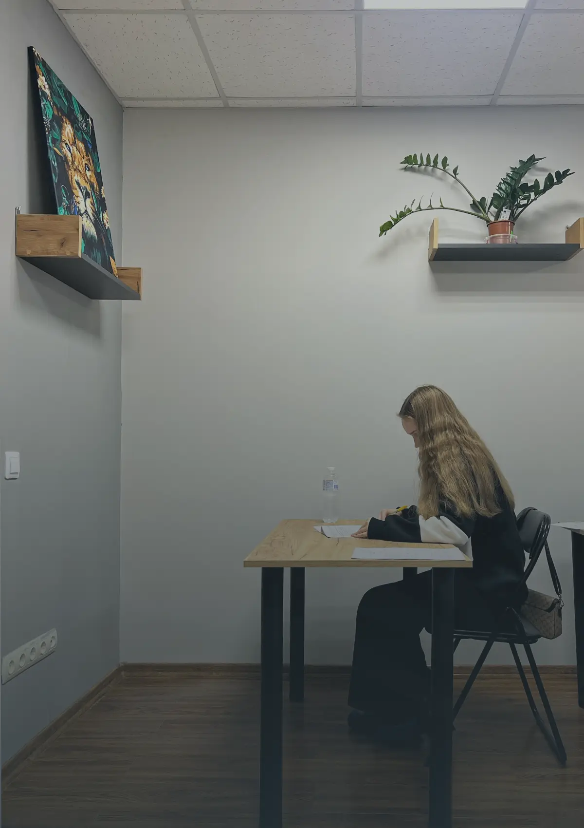 Індивідуальне заняття з математики